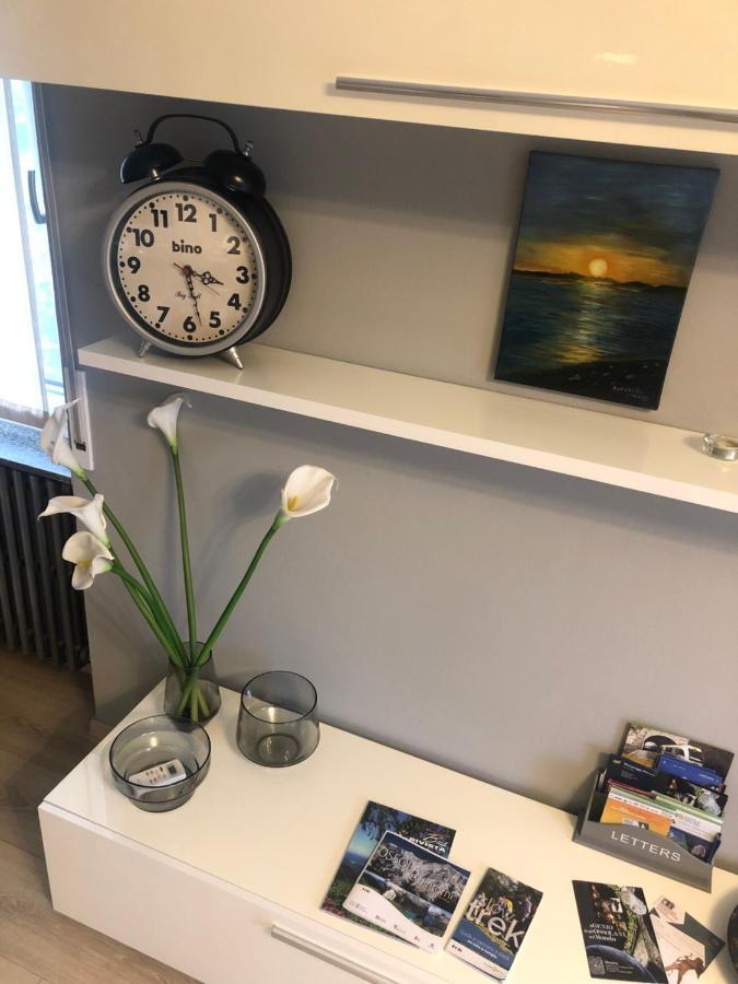 Apartmán "La Bella Della Cappuccina" Casa Con Parcheggio Interno Gratuito Domodossola Exteriér fotografie